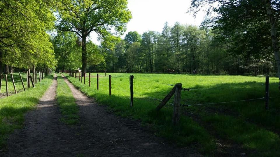 Het Innerhof Opglabbeek Ngoại thất bức ảnh